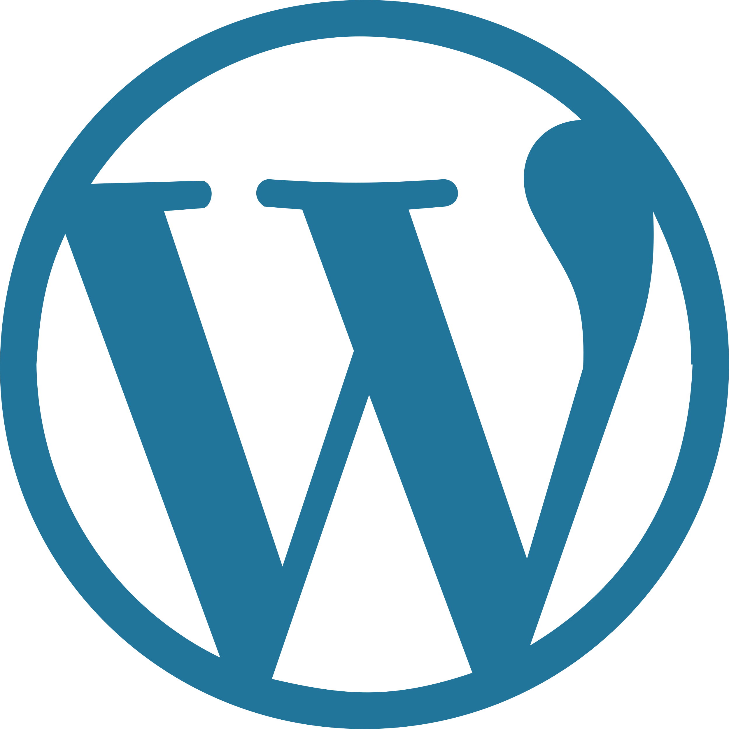 wordpress-icon-1